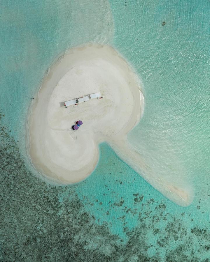 Ocean Lilly Nocleg ze śniadaniem *