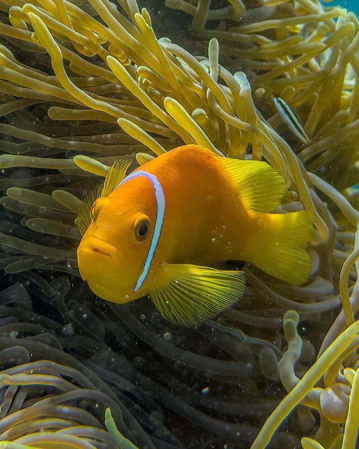 Nocleg ze śniadaniem Ocean Lilly *